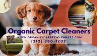 Organic Carpet Cleaners image 2